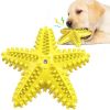 Sea Star Shaped Dog Toothbrush with Sound Pet Teeth Grinding Toy Dog Sound Toy